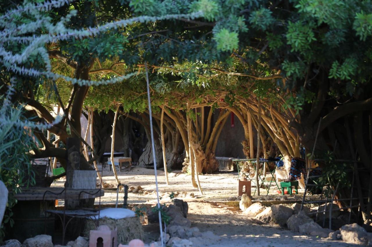 Dar Tawarta Guest House Dakhla Dış mekan fotoğraf