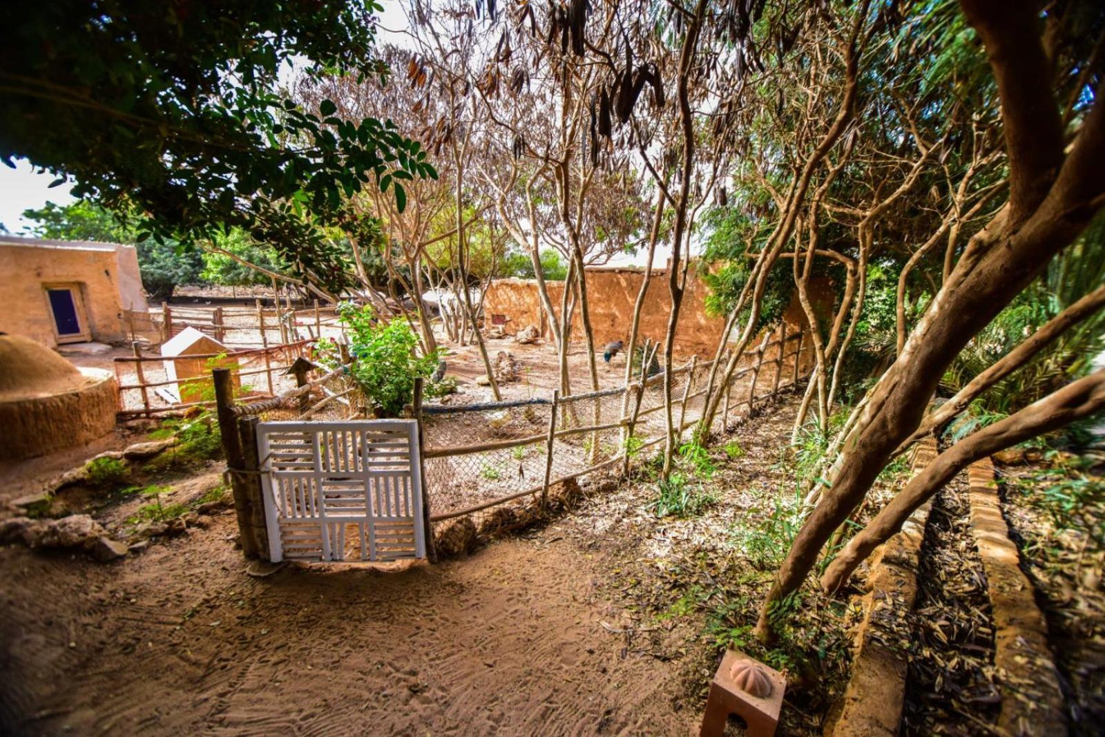 Dar Tawarta Guest House Dakhla Dış mekan fotoğraf