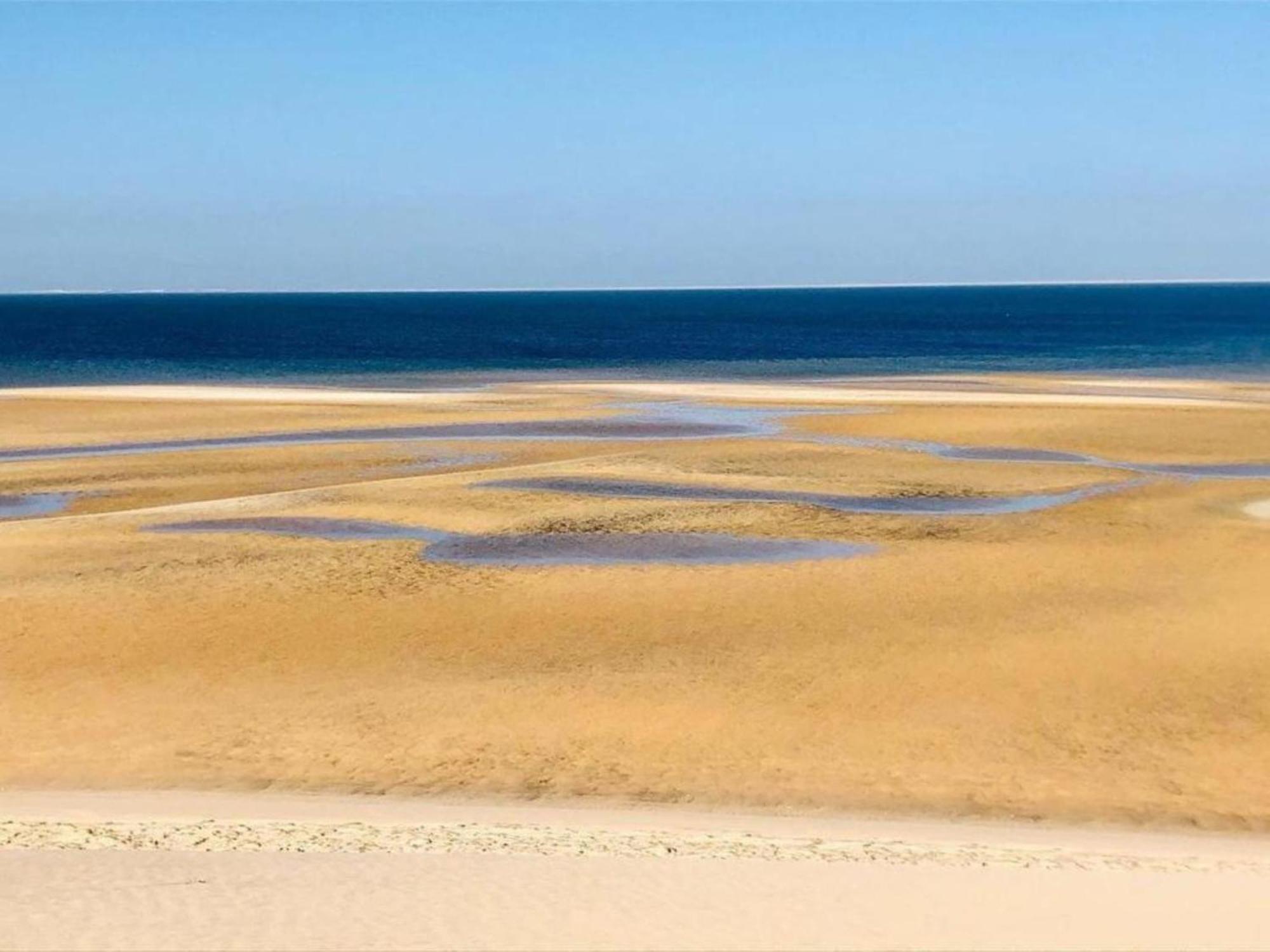 Dar Tawarta Guest House Dakhla Dış mekan fotoğraf